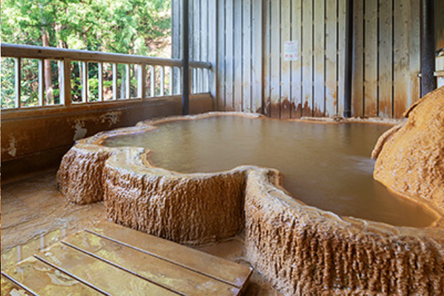 入之波温泉湯元 山鳩湯