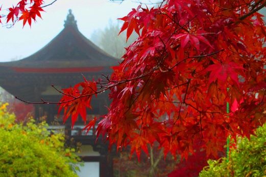 長岳寺