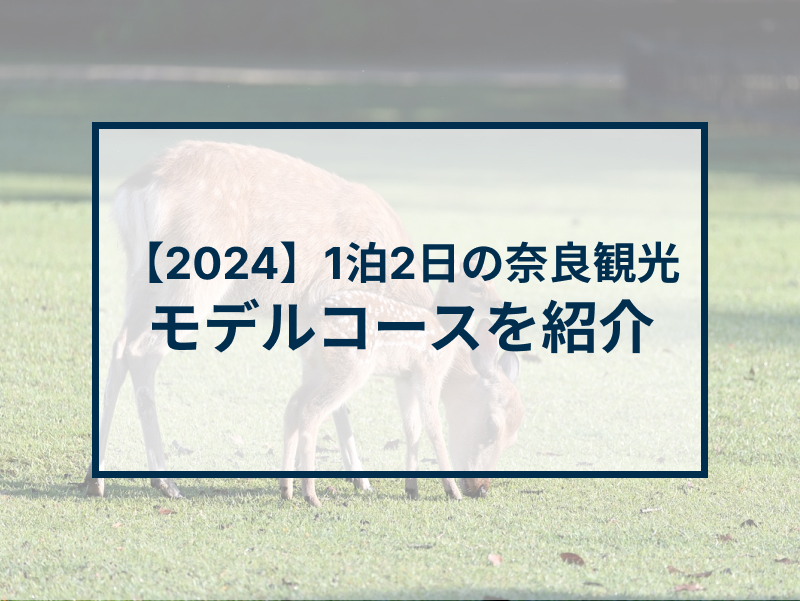 【2024】2泊3日で巡る奈良観光のモデルコースを紹介! – narrative media