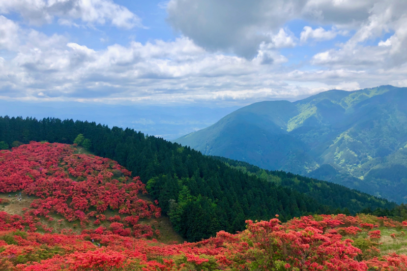 葛城高原ロッジ