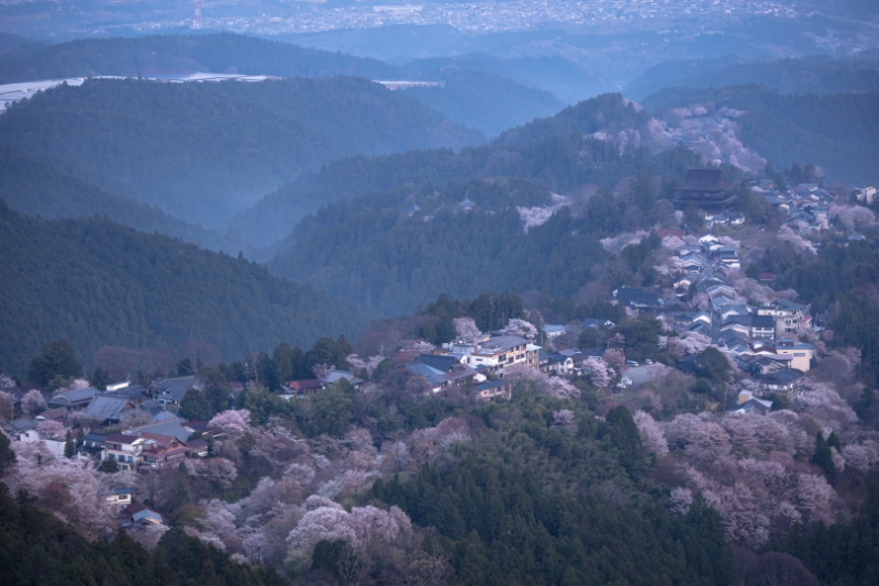 吉野山