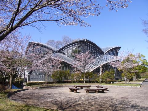 橿原市昆虫館