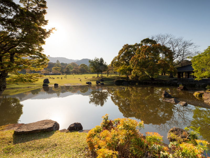 奈良公園