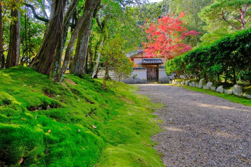 秋篠寺