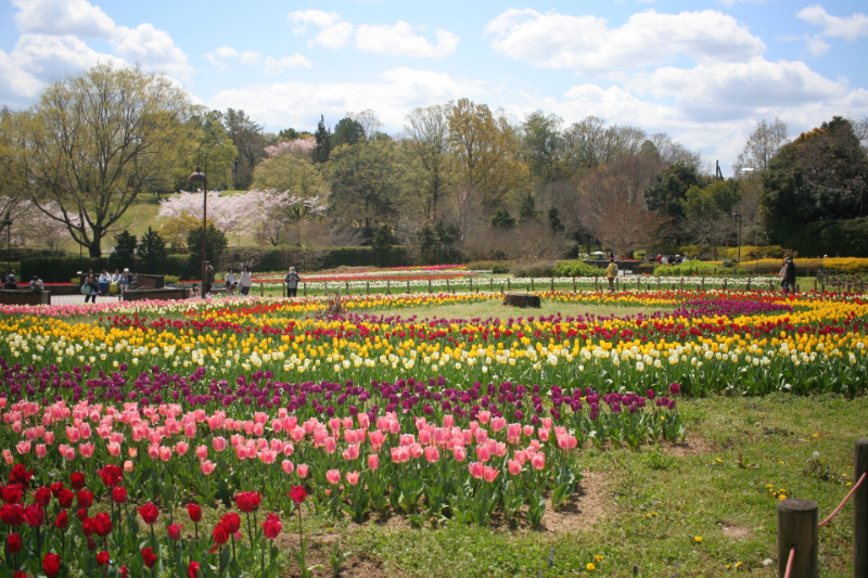 馬見丘陵公園