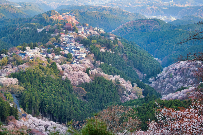 吉野山