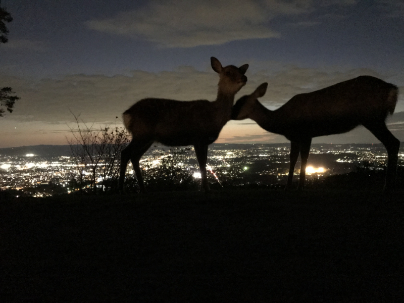 若草山