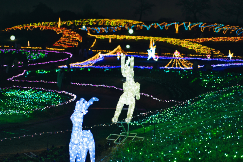 馬見丘陵公園クリスマスイルミネーション