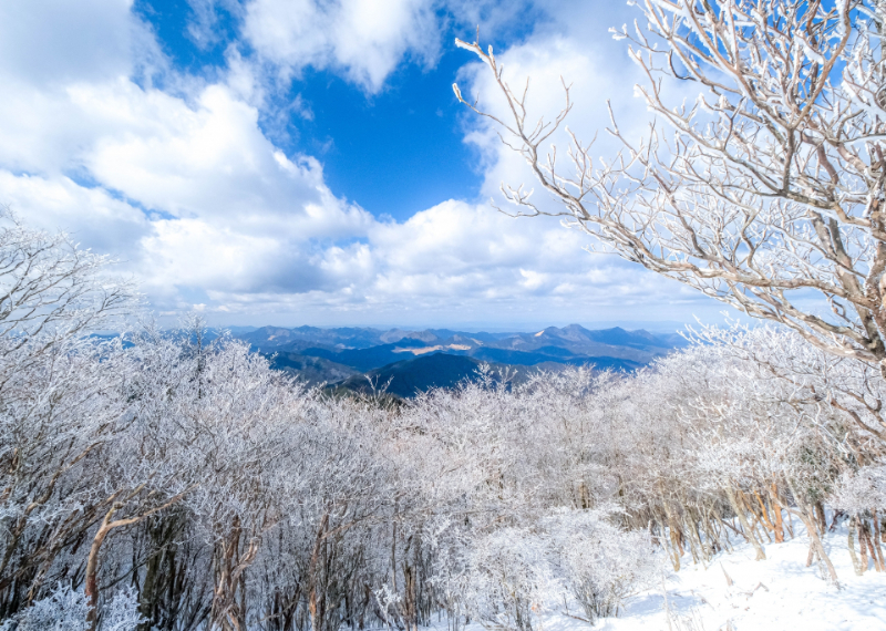 三峰山の霧氷まつり