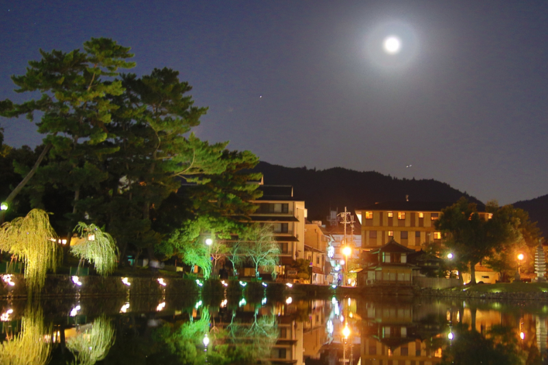 猿沢池（奈良市）