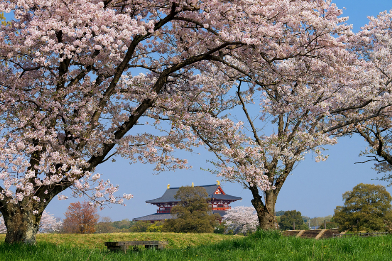 平城宮跡歴史公園