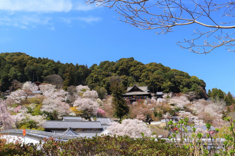 長谷寺