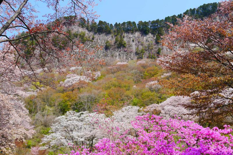 屏風岩公苑