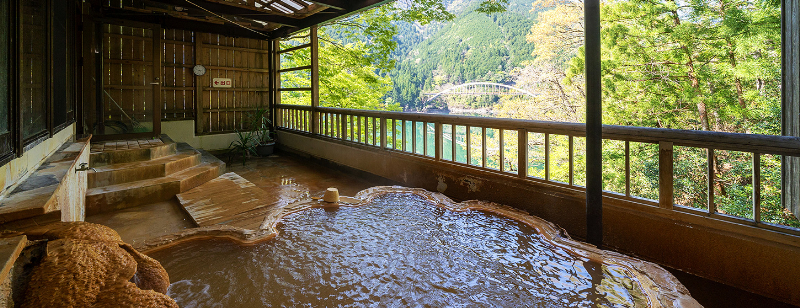 入之波温泉 山鳩湯