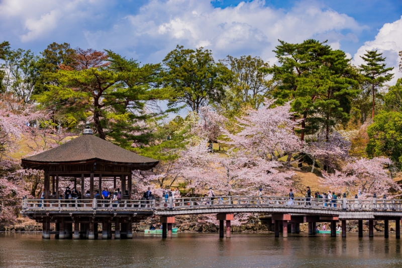 奈良公園